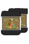Advanced Nutrients Sensi Coco Grow Part A-B PH Perfect 5 Litre Bitki Besini