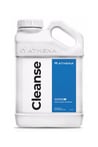 athena-cleanse-3-2c481e.jpg
