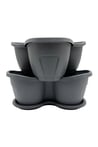 Grow Wizard Kule Saksı