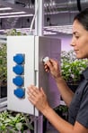 Grow Wizard Timer Box 12X600W