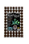 root-riot-koklendirme-kupu-77-viyol-4d1dd1.jpg