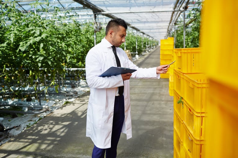 How to Store and Preserve Without Pesticide Residue?